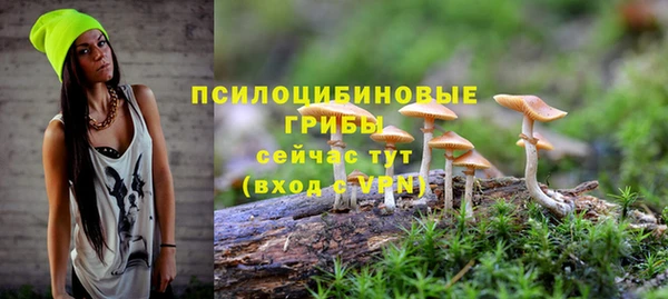 амф Арсеньев