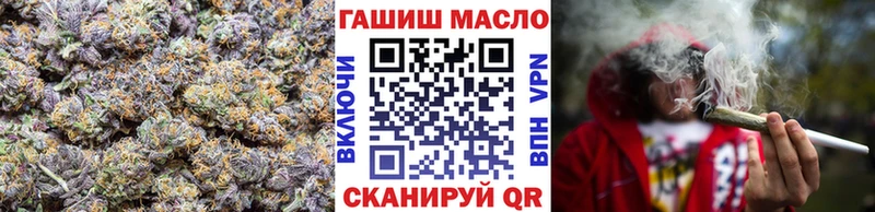 купить закладку Ахтубинск darknet формула Дистиллят ТГК THC oil